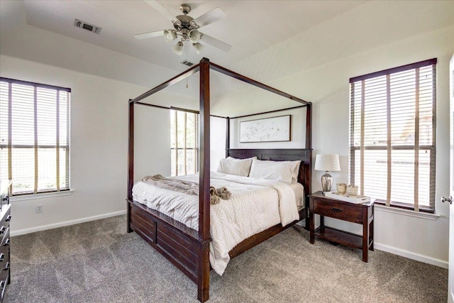 5521 Texas Bluebell Dr, Spicewood, TX 78669 - bedroom with carpet floors and a ceiling fan