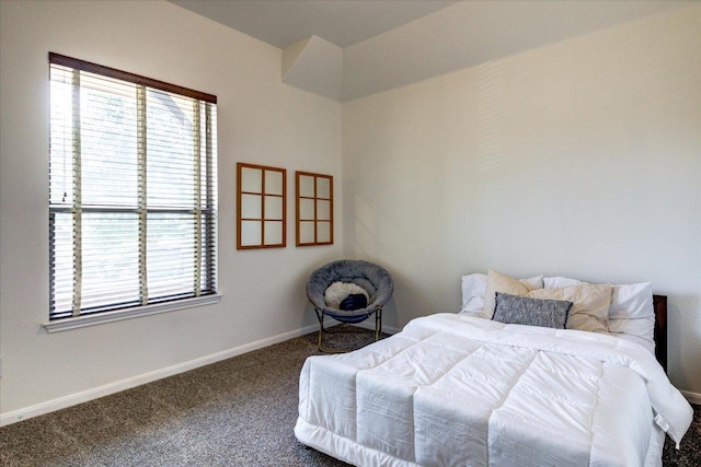 5521 Texas Bluebell Dr, Spicewood, TX 78669 - bedroom with carpet and baseboards