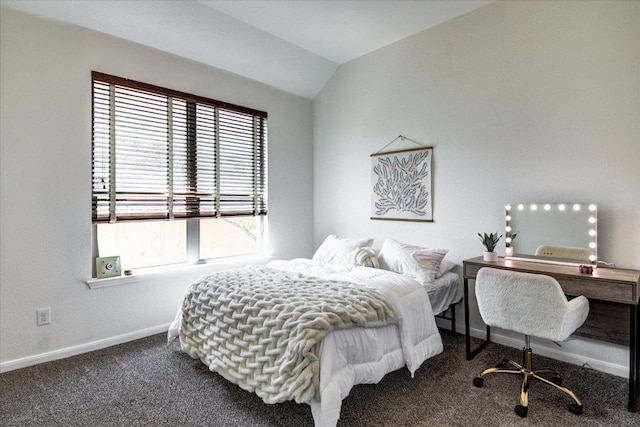 5521 Texas Bluebell Dr, Spicewood, TX 78669 - bedroom with carpet and lofted ceiling