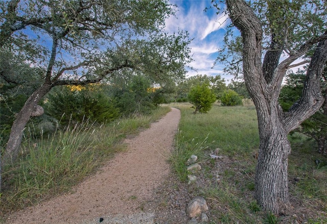 5521 Texas Bluebell Dr, Spicewood, TX 78669 - view of street