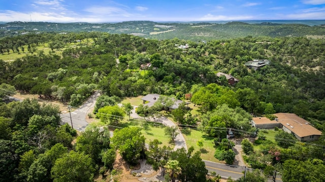 1200 Redbud Trl, West Lake Hills, TX 78746 - aerial view of a heavily wooded area