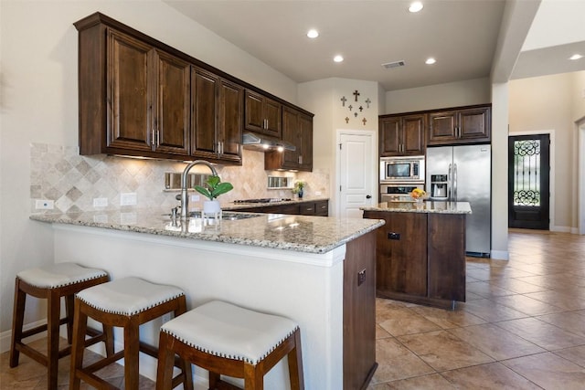 8709 Fescue Ln, Austin, TX 78738 - kitchen featuring stainless steel appliances, a peninsula, under cabinet range hood, decorative backsplash, and dark brown cabinets