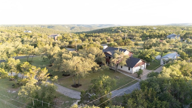 13100 N Ridge Cir, Leander, TX 78641 - bird's eye view of a heavily wooded area