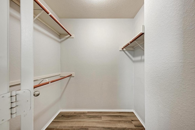 3417 Tralagon Trl, Pflugerville, TX 78660 - spacious closet featuring wood finished floors