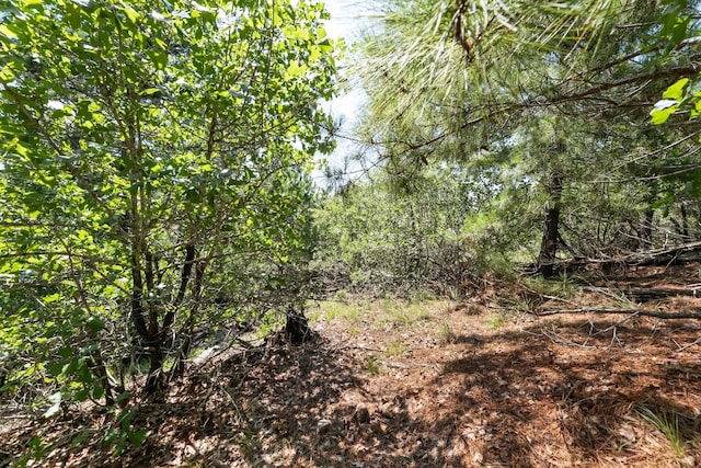 102 Moku Ct, Bastrop, TX 78602 - view of undeveloped land