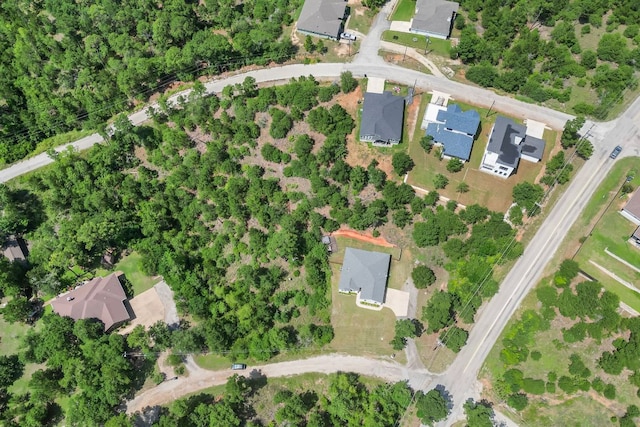 102 Moku Ct, Bastrop, TX 78602 - aerial view of property's location