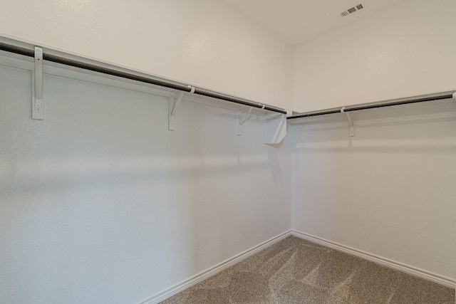 116 Mulligan Dr Unit 103, San Marcos, TX 78666 - spacious closet featuring carpet flooring