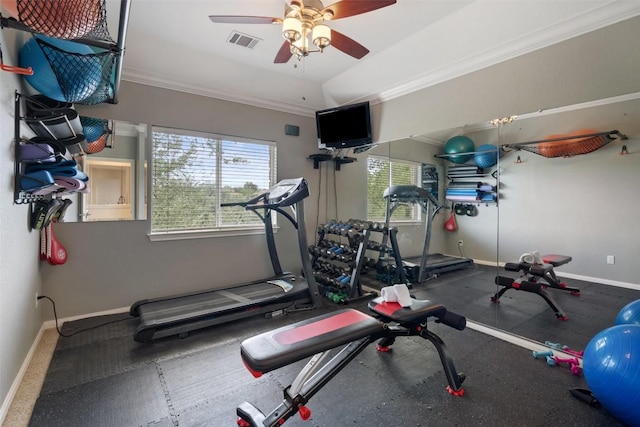 25 Falling Oaks Trl, The Hills, TX 78738 - workout area featuring ceiling fan and ornamental molding