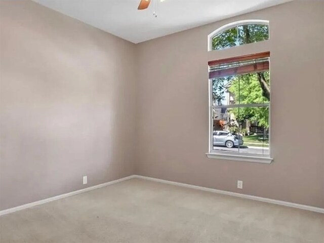 253 Newberry Trl, San Marcos, TX 78666 - photo 14