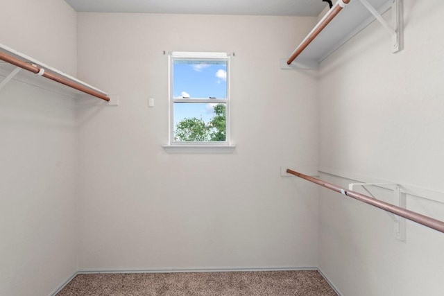 4608 Acers Ln, Austin, TX 78725 - spacious closet with carpet