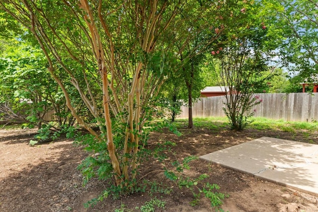 4608 Acers Ln, Austin, TX 78725 - view of yard with a patio