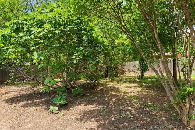 4608 Acers Ln, Austin, TX 78725 - view of fenced backyard