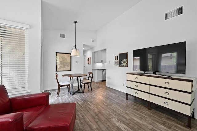 9710 Curlew Dr, Austin, TX 78748 - living area featuring high vaulted ceiling and wood finished floors