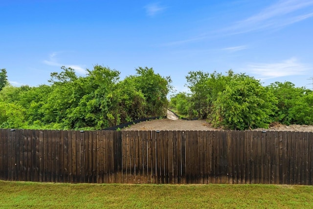 2416 Nightview Dr, Pflugerville, TX 78660 - view of yard