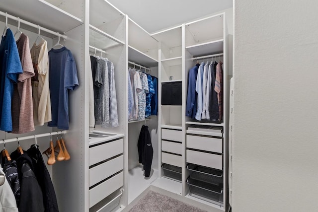 2416 Nightview Dr, Pflugerville, TX 78660 - view of walk in closet