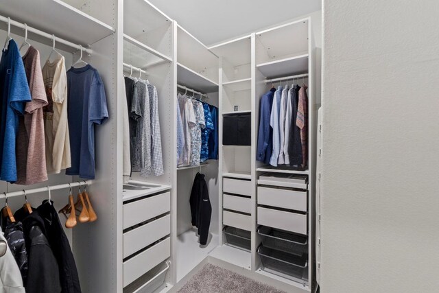 2416 Nightview Dr, Pflugerville, TX 78660 - view of spacious closet