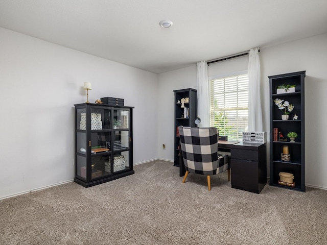 752 Circle Way Unit 35H, Jarrell, TX 76537 - office with light colored carpet