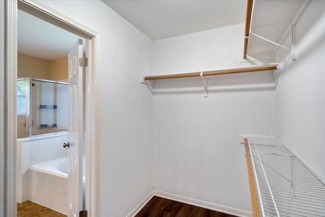 1601 Muledeer Run, Leander, TX 78641 - spacious closet with dark wood-type flooring
