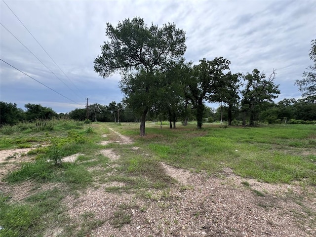 161 Fm 1209, Cedar Creek, TX 78612 - view of yard