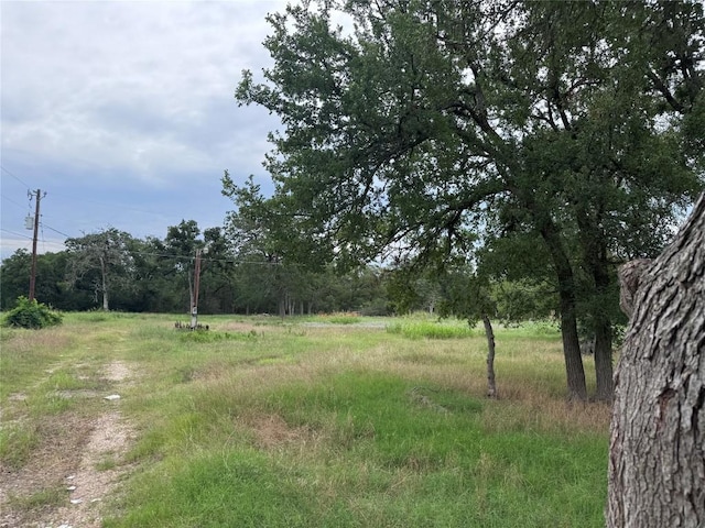 161 Fm 1209, Cedar Creek, TX 78612 - view of nature