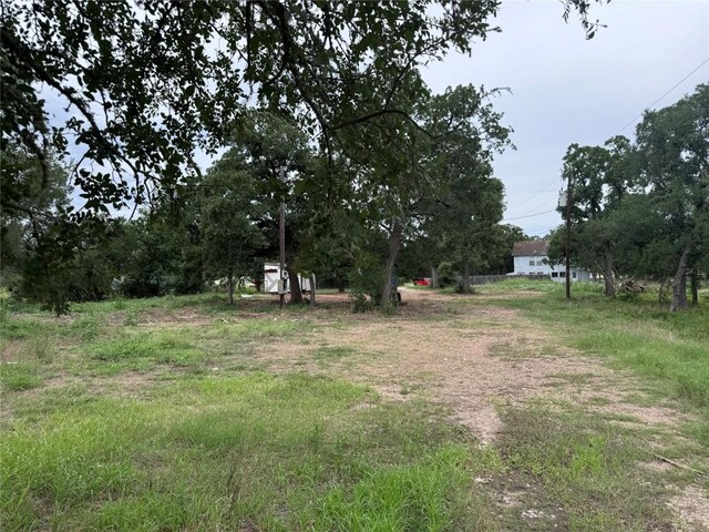 161 Fm 1209, Cedar Creek, TX 78612 - view of yard