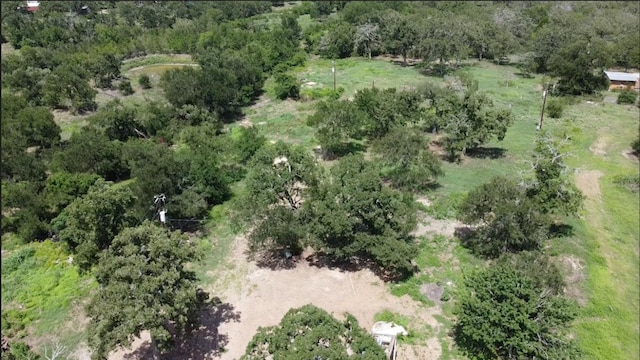 161 Fm 1209, Cedar Creek, TX 78612 - aerial overview of property's location