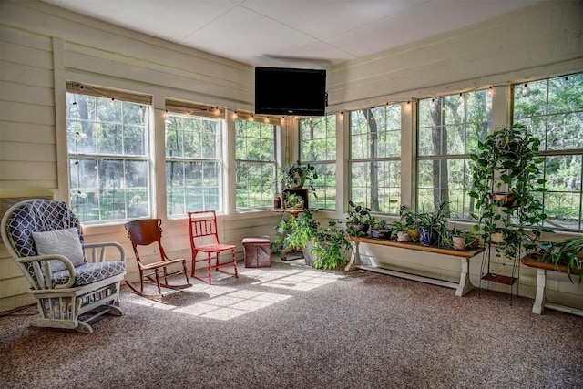 128 Moku Manu Dr, Bastrop, TX 78602 - sunroom / solarium with carpet floors