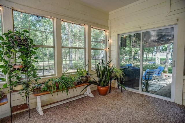 128 Moku Manu Dr, Bastrop, TX 78602 - sunroom featuring carpet and wood walls