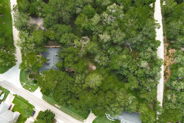 128 Moku Manu Dr, Bastrop, TX 78602 - aerial overview of property's location