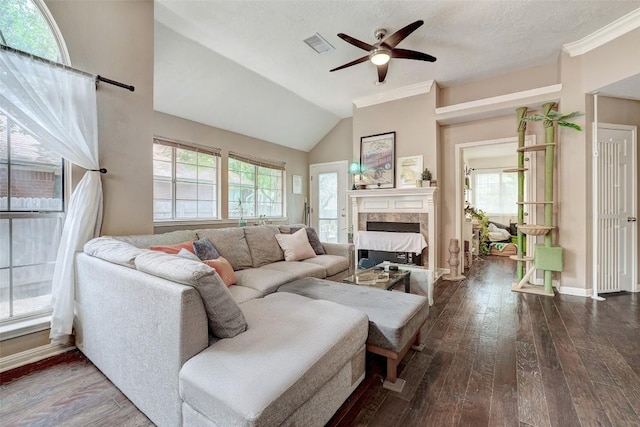 5907 Shanghai Pierce Rd, Austin, TX 78749 - living area with ceiling fan, a high end fireplace, dark wood finished floors, crown molding, and lofted ceiling