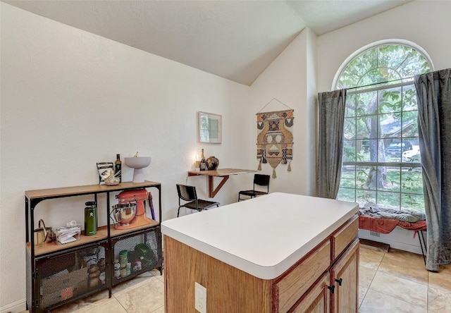 5907 Shanghai Pierce Rd, Austin, TX 78749 - home office featuring vaulted ceiling and light tile patterned floors