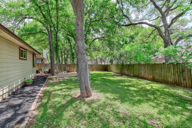 5907 Shanghai Pierce Rd, Austin, TX 78749 - view of fenced backyard