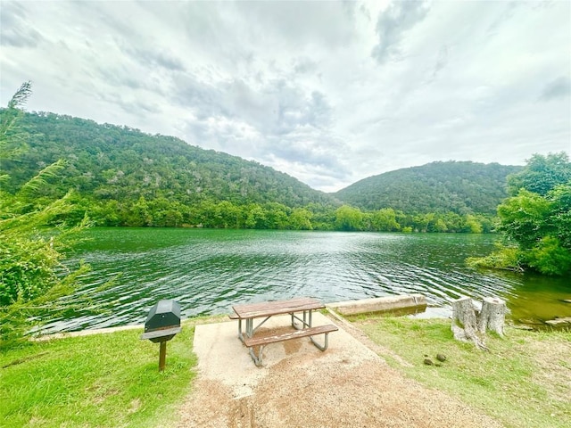 1302 S Quinlan Park Rd, Austin, TX 78732 - photo 7