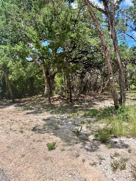 TBD S Contour Dr, Spring Branch, TX 78070