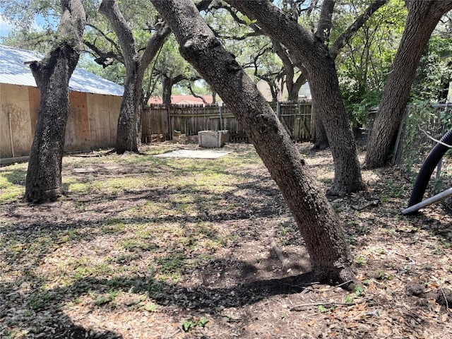 2503 S 4th St, Austin, TX 78704 - view of yard