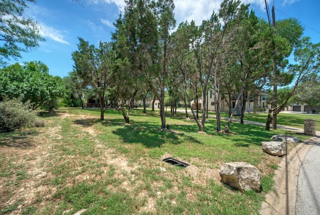 13109, 13111 Mansfield Dr Dr, Austin, TX 78732 - view of green lawn