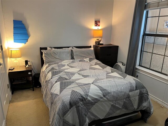407 E 45th St Unit 108, Austin, TX 78751 - bedroom with carpet flooring