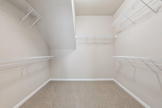 212 Boone Valley Dr, Round Rock, TX 78664 - walk in closet featuring carpet