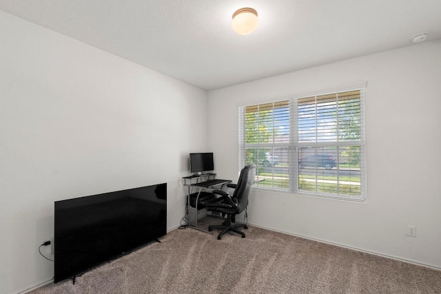 1225 Nokota Bnd, Georgetown, TX 78626 - photo 23
