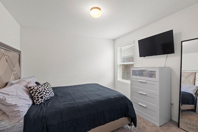 1225 Nokota Bnd, Georgetown, TX 78626 - photo 26