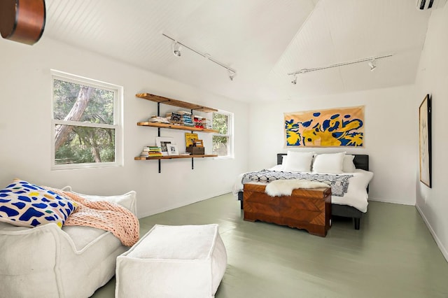 5204 Cueva Dr, Austin, TX 78738 - bedroom featuring rail lighting, multiple windows, a wall mounted AC, and wood finished floors