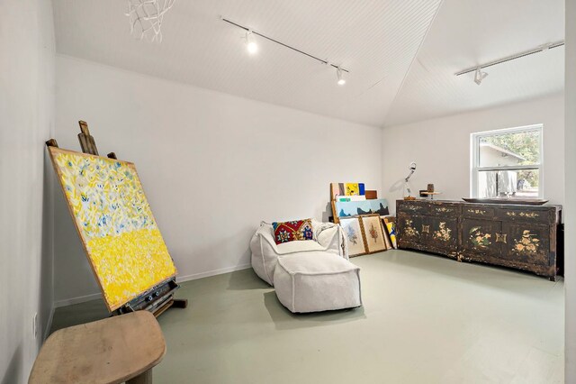 5204 Cueva Dr, Austin, TX 78738 - living area with rail lighting and concrete floors