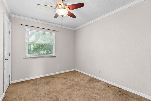 1703 Greyson Dr, Round Rock, TX 78664 - unfurnished room with carpet flooring, ceiling fan, and crown molding