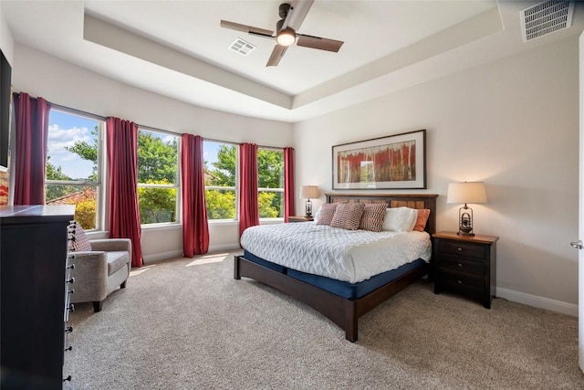 105 Curacao Ct, Austin, TX 78738 - bedroom with carpet floors, a raised ceiling, and multiple windows