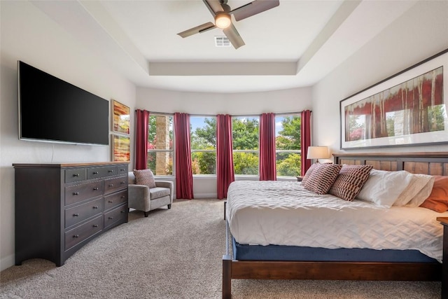 105 Curacao Ct, Austin, TX 78738 - bedroom featuring carpet flooring, multiple windows, a raised ceiling, and a ceiling fan