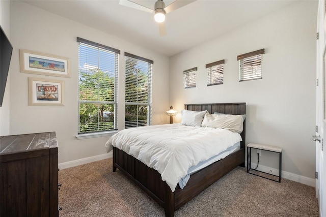 105 Curacao Ct, Austin, TX 78738 - carpeted bedroom featuring multiple windows and a ceiling fan