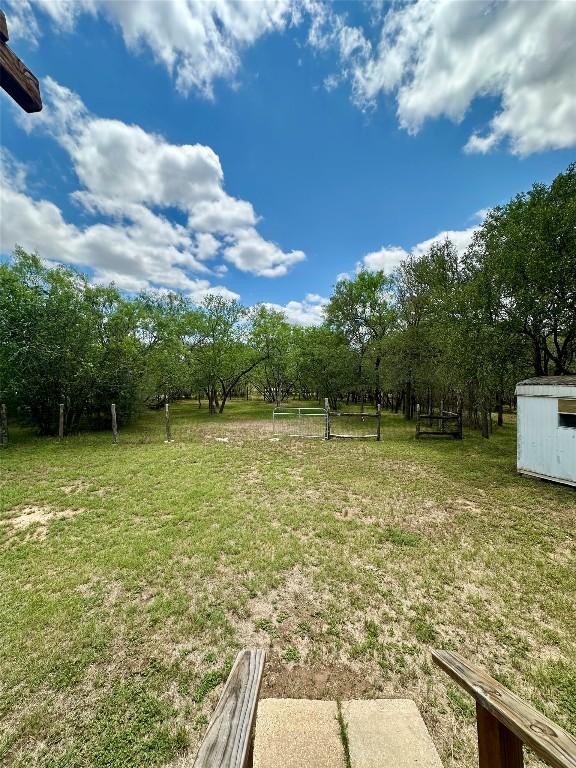 121 Wyers Pl, Cedar Creek, TX 78612 - view of green lawn with a storage shed