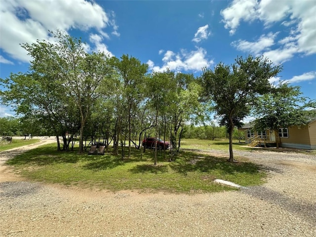 121 Wyers Pl, Cedar Creek, TX 78612 - view of yard