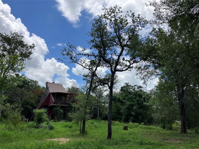 693 Saint Marys Rd, Rosanky, TX 78953 - view of yard