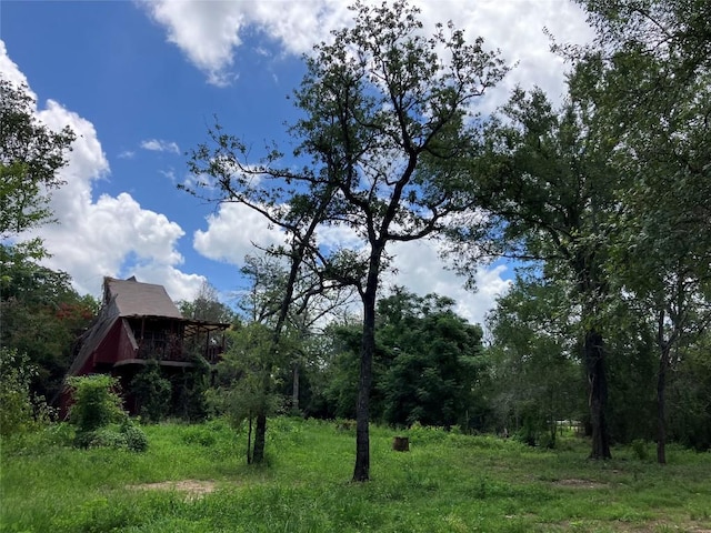 693 Saint Marys Rd, Rosanky, TX 78953 - view of yard